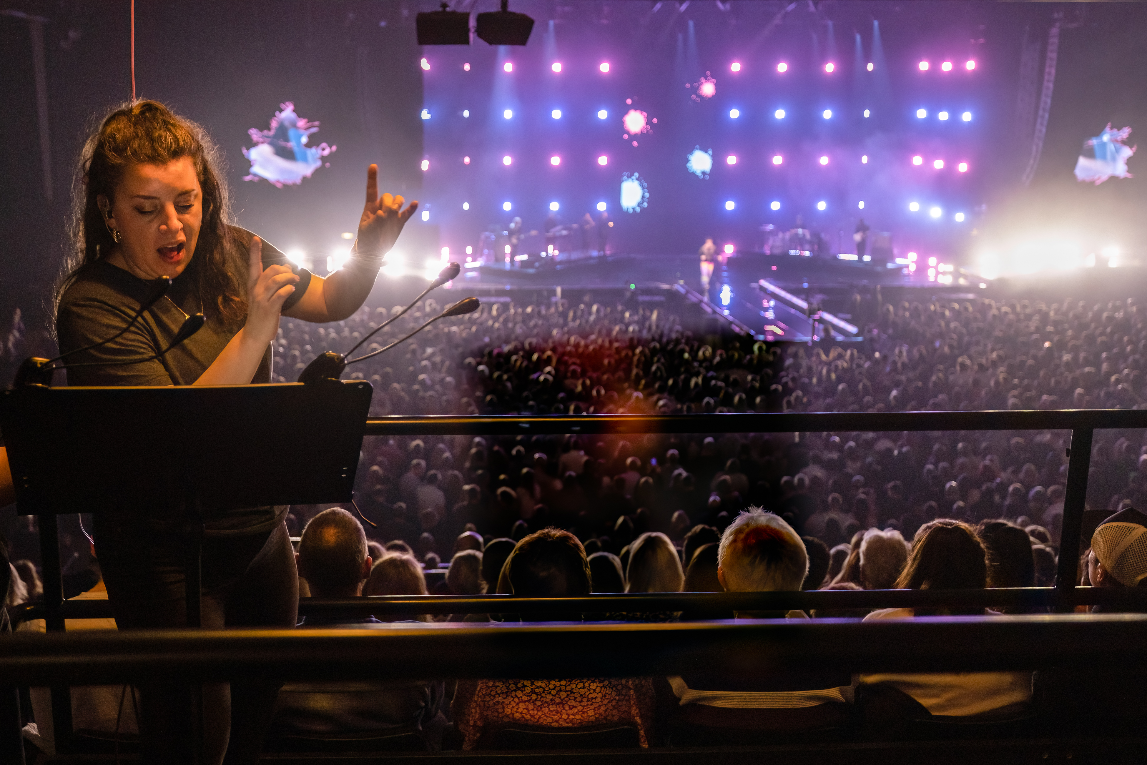 BSL Interpreter signing in foreground for Access visitors with audience and stage behind